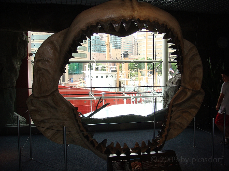 Baltimore [2009 July 02] 276.JPG - Scenes from Baltimore's Inner Harbor.